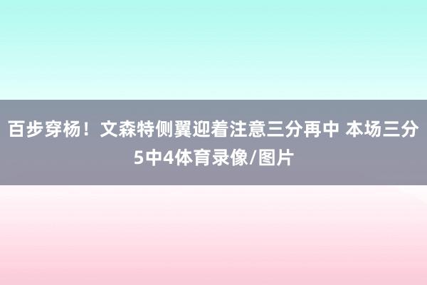 百步穿杨！文森特侧翼迎着注意三分再中 本场三分5中4体育录像/图片